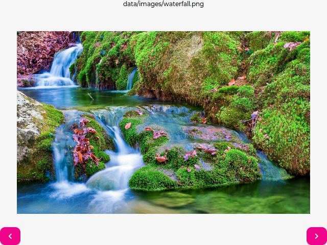 Image Viewer Screenshot